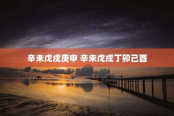 辛未戊戌庚申 辛未戊戌丁卯己酉