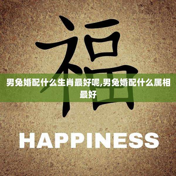 男兔婚配什么生肖最好呢,男兔婚配什么属相最好