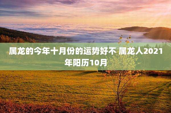 属龙的今年十月份的运势好不 属龙人2021年阳历10月