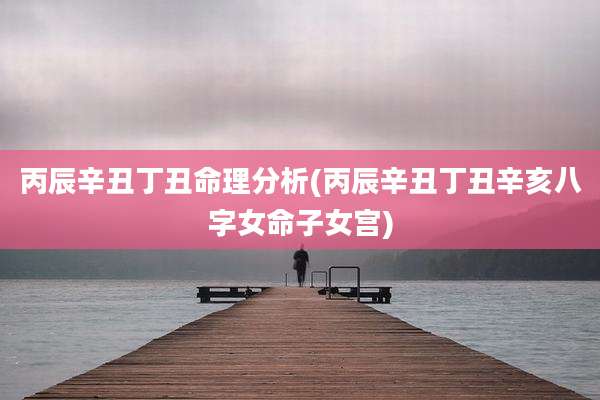 丙辰辛丑丁丑命理分析(丙辰辛丑丁丑辛亥八字女命子女宫)