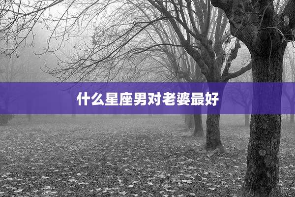 什么星座男对老婆最好