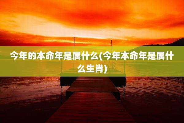 今年的本命年是属什么(今年本命年是属什么生肖)