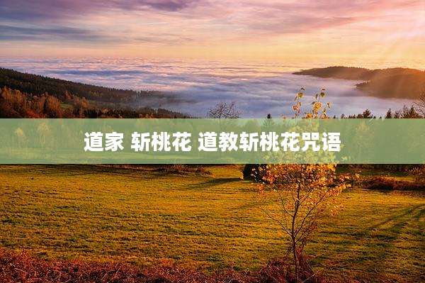 道家 斩桃花 道教斩桃花咒语