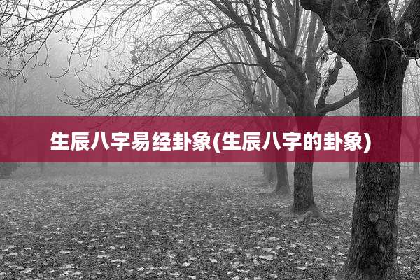 生辰八字易经卦象(生辰八字的卦象)