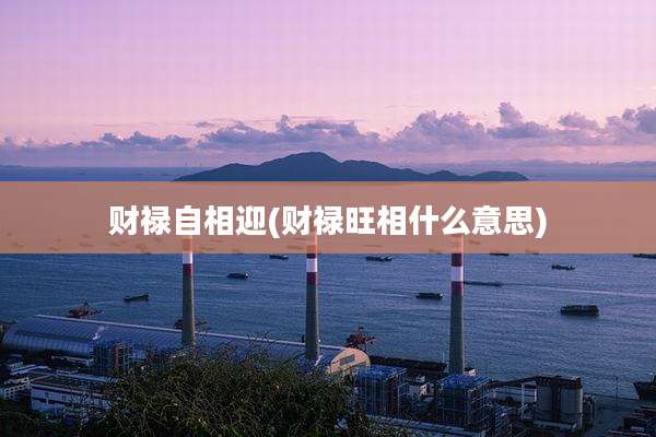 财禄自相迎(财禄旺相什么意思)