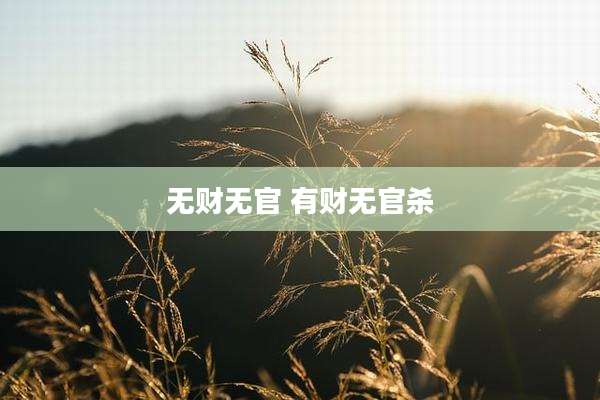 无财无官 有财无官杀