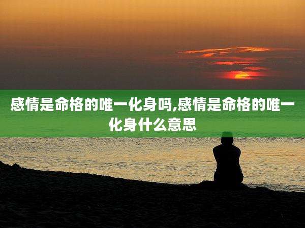 感情是命格的唯一化身吗,感情是命格的唯一化身什么意思