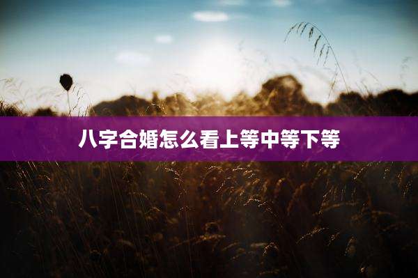 八字合婚怎么看上等中等下等