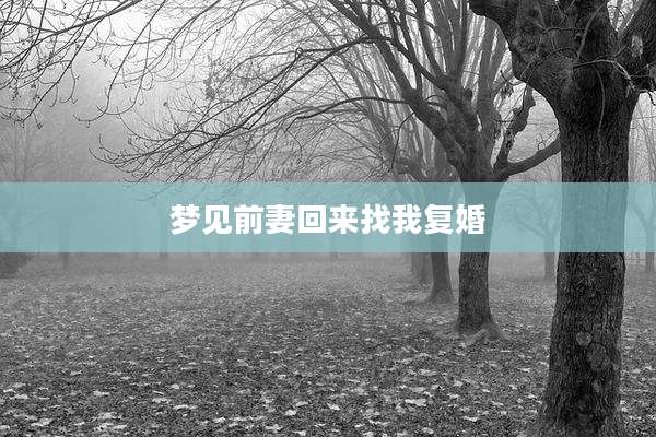 梦见前妻回来找我复婚