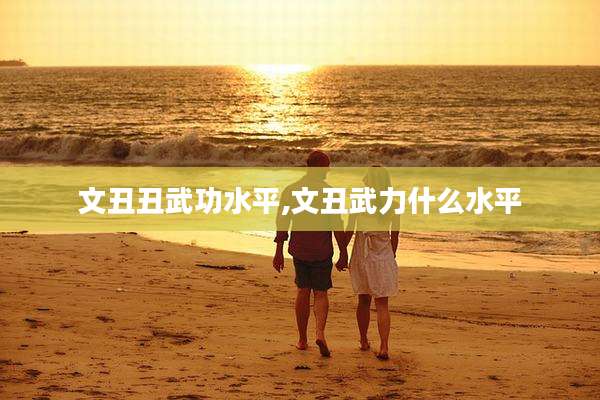 文丑丑武功水平,文丑武力什么水平