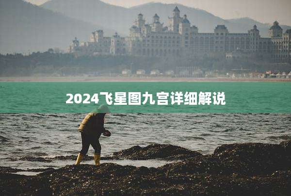 2024飞星图九宫详细解说
