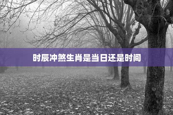 时辰冲煞生肖是当日还是时间