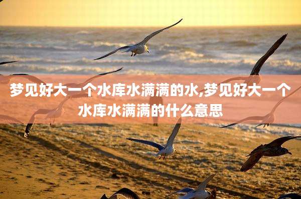 梦见好大一个水库水满满的水,梦见好大一个水库水满满的什么意思
