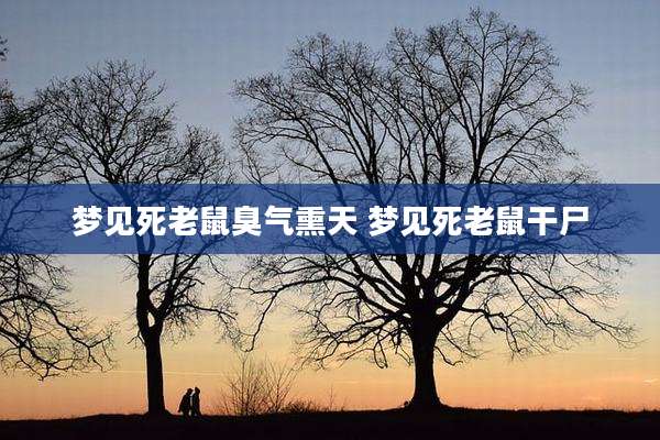 梦见死老鼠臭气熏天 梦见死老鼠干尸