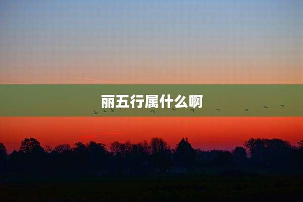 丽五行属什么啊