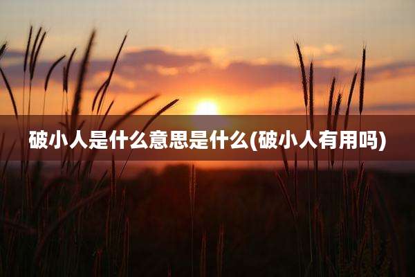 破小人是什么意思是什么(破小人有用吗)