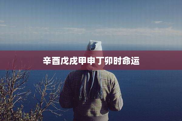 辛酉戊戌甲申丁卯时命运