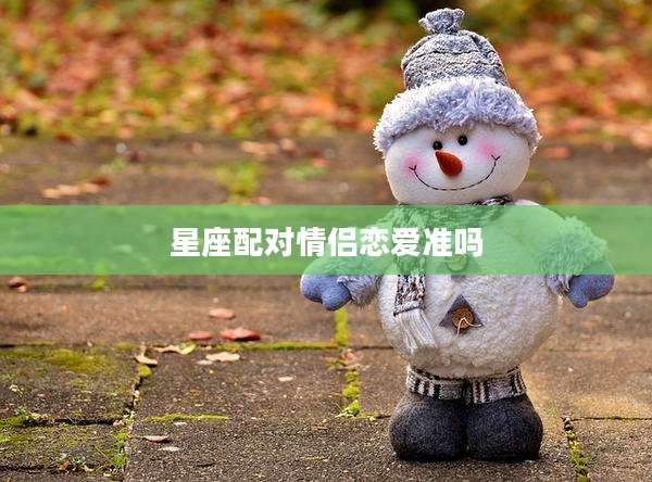 星座配对情侣恋爱准吗