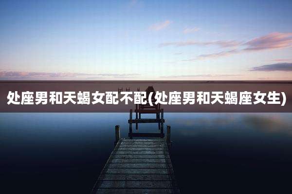 处座男和天蝎女配不配(处座男和天蝎座女生)