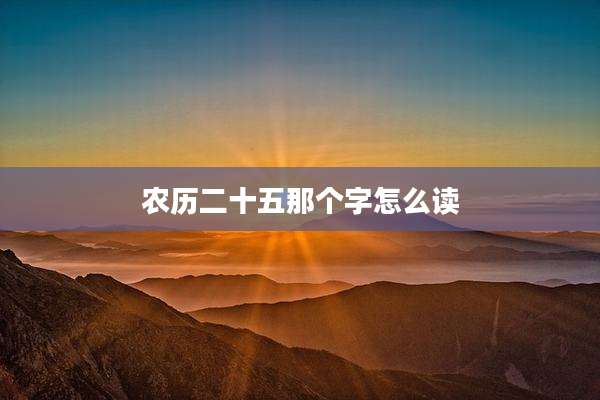 农历二十五那个字怎么读