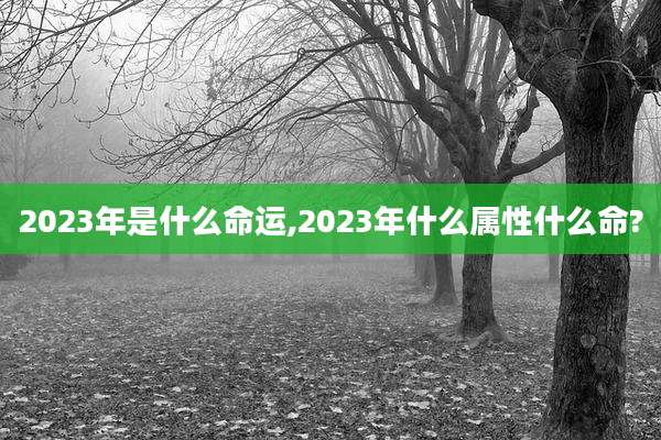 2023年是什么命运,2023年什么属性什么命?