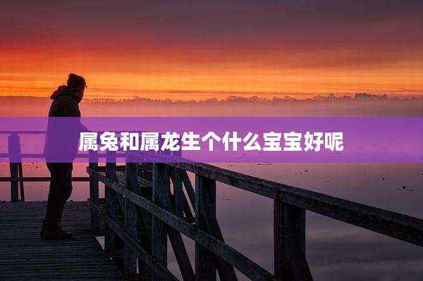 属兔和属龙生个什么宝宝好呢