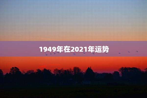 1949年在2021年运势