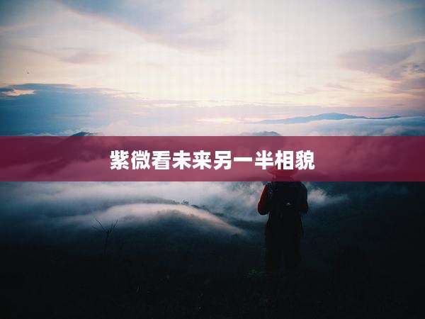 紫微看未来另一半相貌