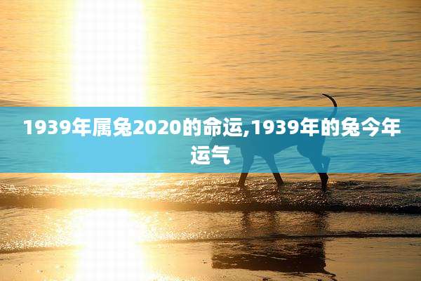 1939年属兔2020的命运,1939年的兔今年运气