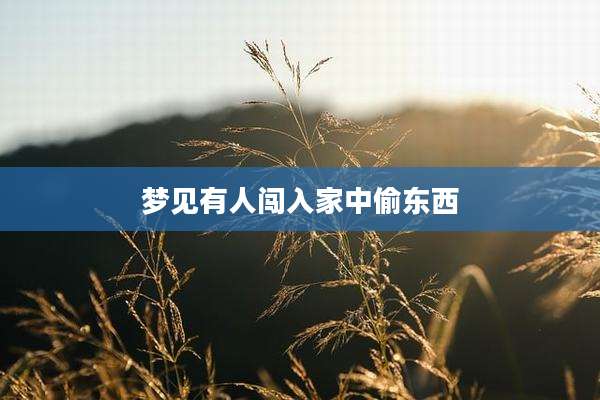 梦见有人闯入家中偷东西
