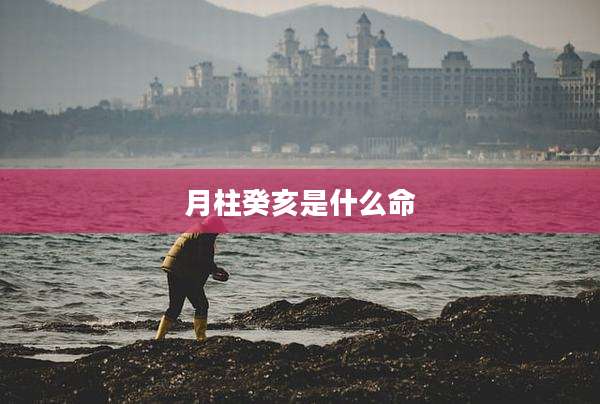 月柱癸亥是什么命
