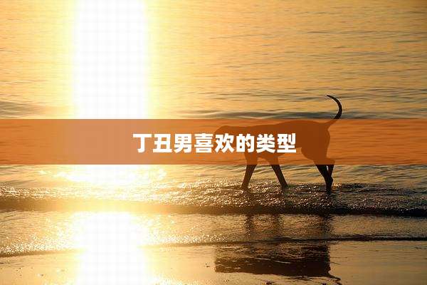 丁丑男喜欢的类型