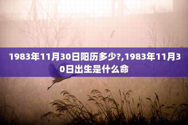 1983年11月30日阳历多少?,1983年11月30日出生是什么命