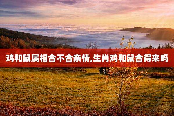 鸡和鼠属相合不合亲情,生肖鸡和鼠合得来吗