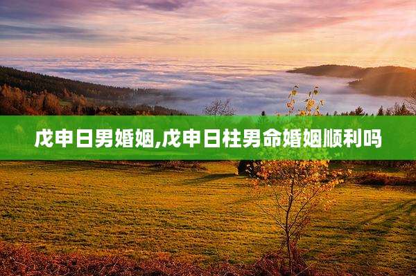 戊申日男婚姻,戊申日柱男命婚姻顺利吗