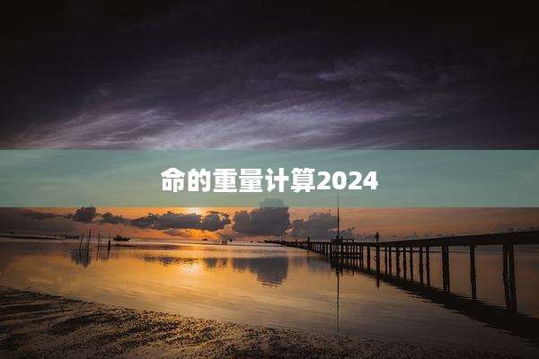 命的重量计算2024
