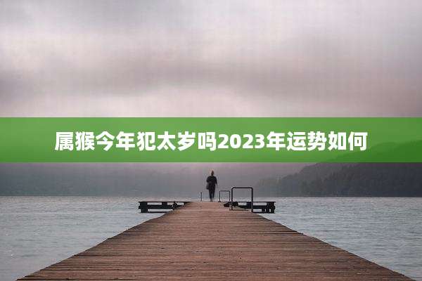 属猴今年犯太岁吗2023年运势如何