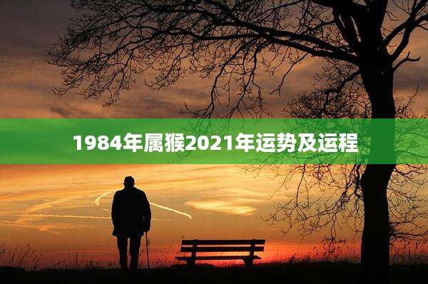 1984年属猴2021年运势及运程