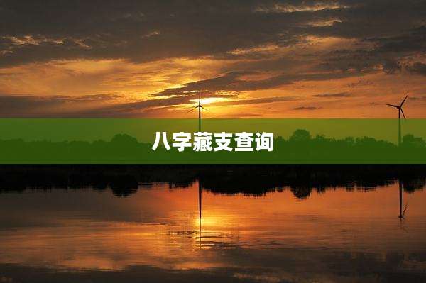 八字藏支查询