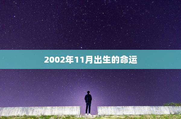 2002年11月出生的命运