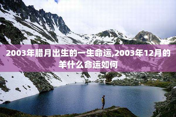 2003年腊月出生的一生命运,2003年12月的羊什么命运如何