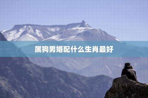 属狗男婚配什么生肖最好