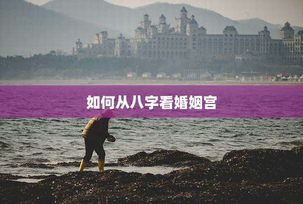 如何从八字看婚姻宫
