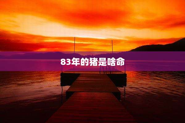 83年的猪是啥命