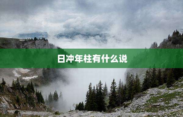 日冲年柱有什么说