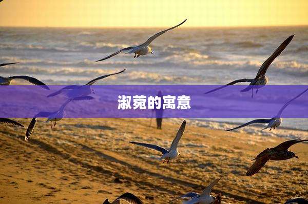 淑菀的寓意
