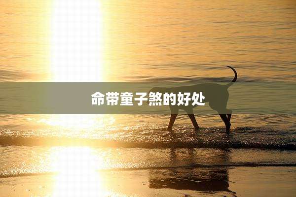 命带童子煞的好处