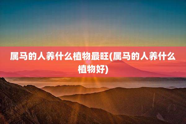 属马的人养什么植物最旺(属马的人养什么植物好)