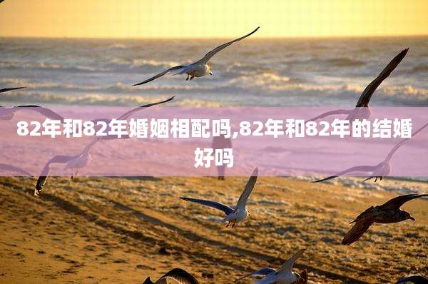 82年和82年婚姻相配吗,82年和82年的结婚好吗