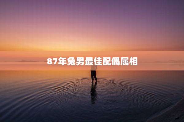 87年兔男最佳配偶属相